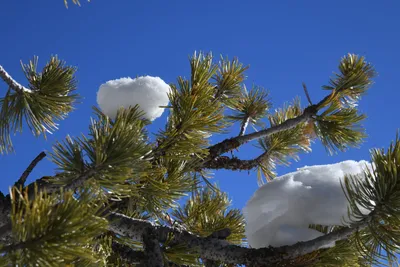 DSC_4919 (Large).JPG